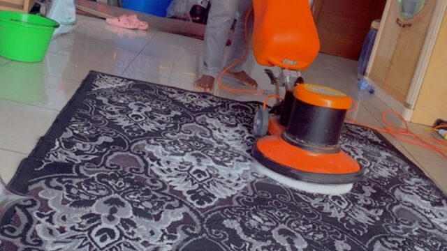 WhatsApp Image 2026-02-10 at 08.04.32 (1)